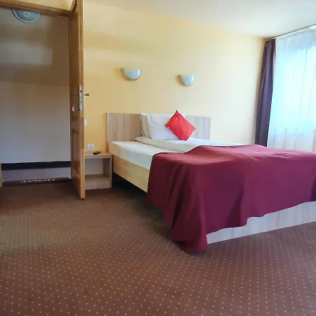Гостевой дом Pensiunea Leia Transfagarasan *