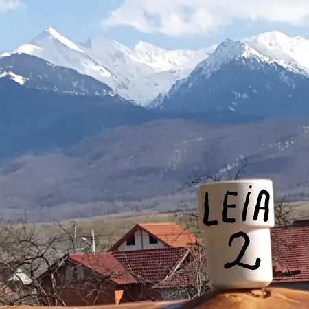 Гостевой дом Pensiunea Leia Transfagarasan